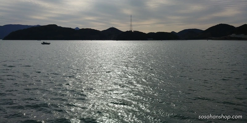 9932A2435A35FB6C33FE3D