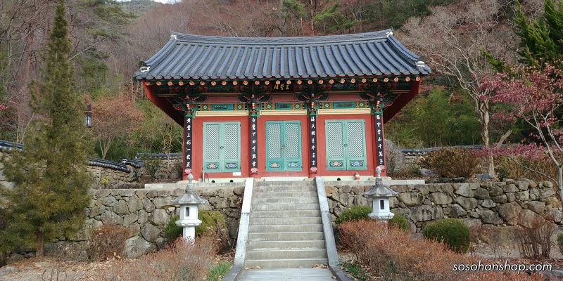 99CD0A455A3612B419AC4E