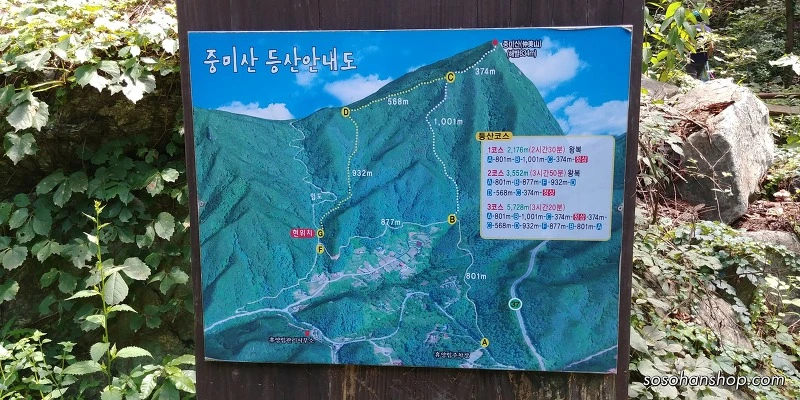 24D30E3359783A7D0C8DCF