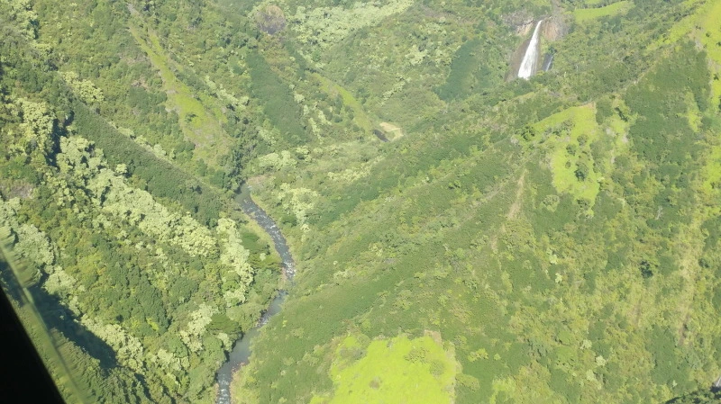 2107EC4458B52C66042D8D