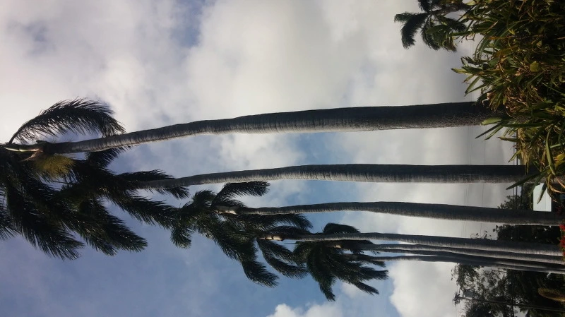 2123233458ABC0C828C60B