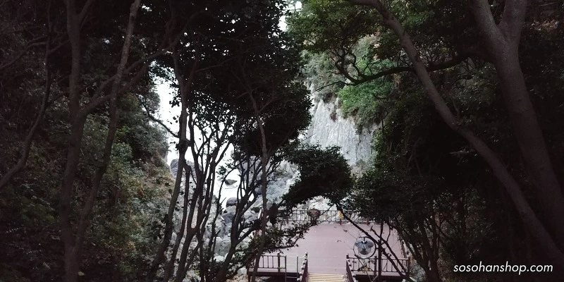 995F31485A35C7272F9248