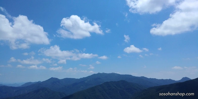 23B26A3359783A911E5823