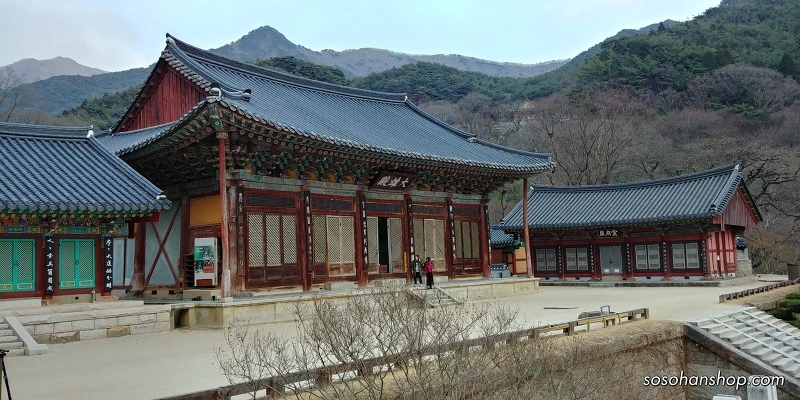 998A24445A3614C70ABB8A