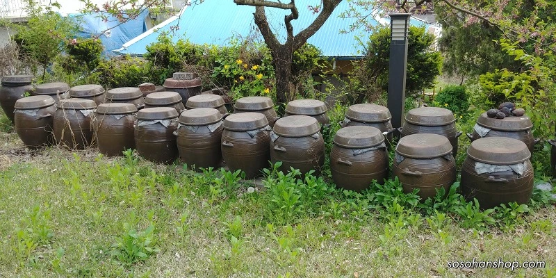 2613D9355908512C2D78C6