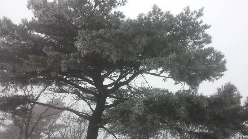 267D2D3B5848130C01EE44