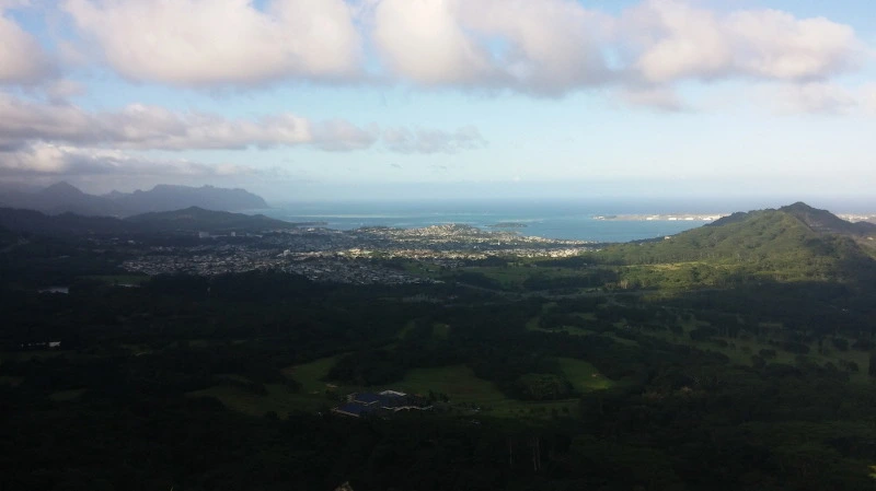 253FC14658B54C5E3ADA90