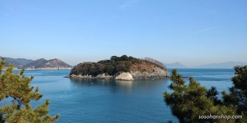 99AD82455A35F902135F56