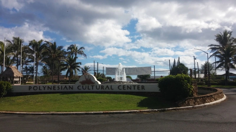 2338EF4358A924541E65DB