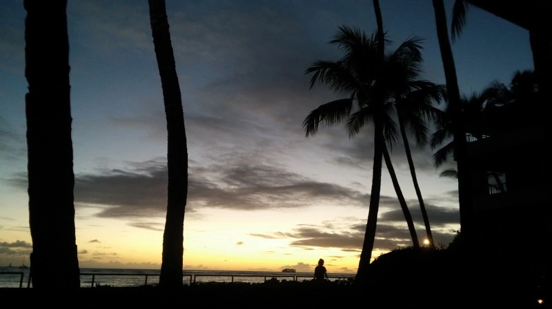 262FD74158B3845633BA8E