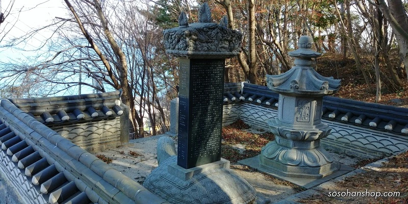 996A654E5A35F90F30873D