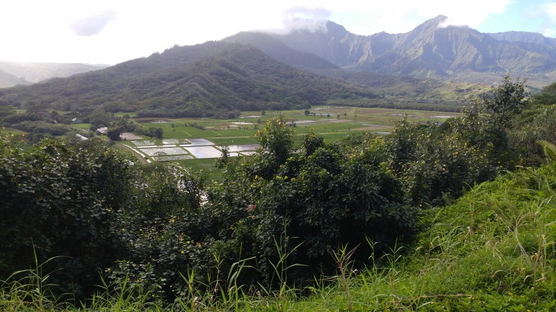 25621F3E58B52B91317DB8