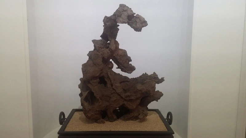 2343BA3D57B91711188512