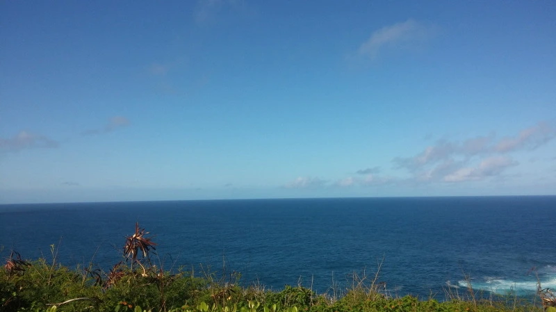 216CC54358B529832C58B5