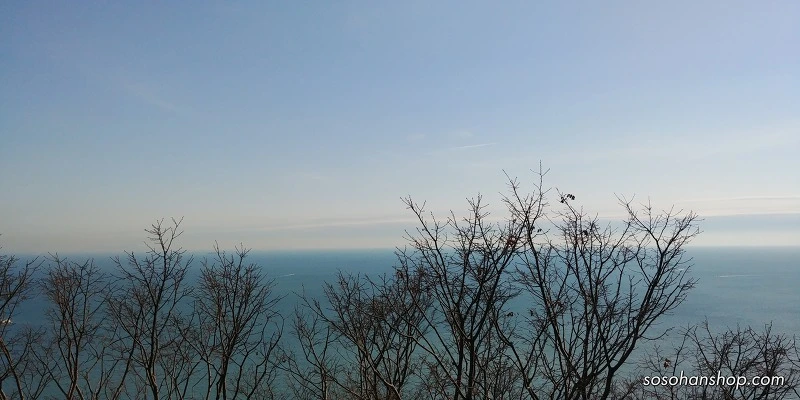 997FAB495A35FAD42AFC93