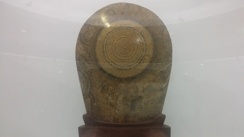 26624A3E57B9172A161458