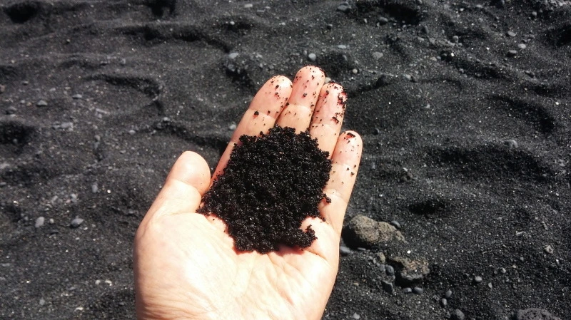 21492B3958ABC0C2181520