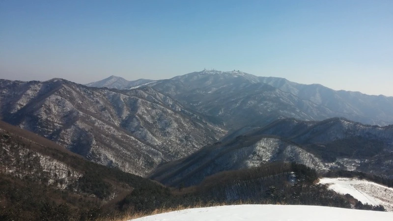 233B19385891DA8B36423F