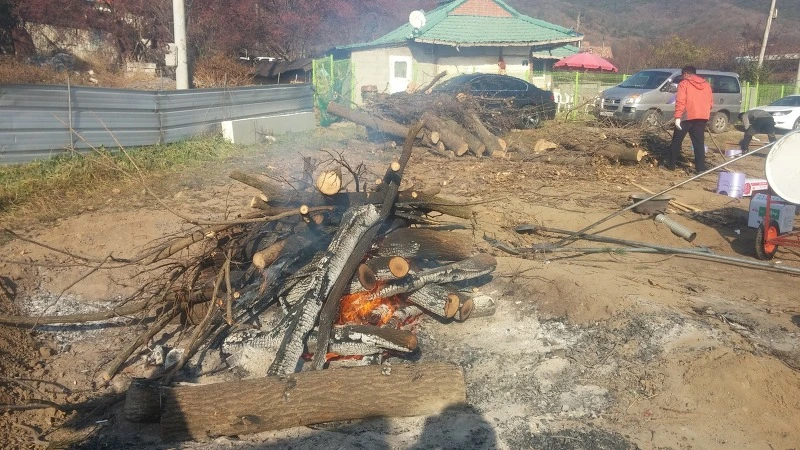 2454724F583252F22FAB17