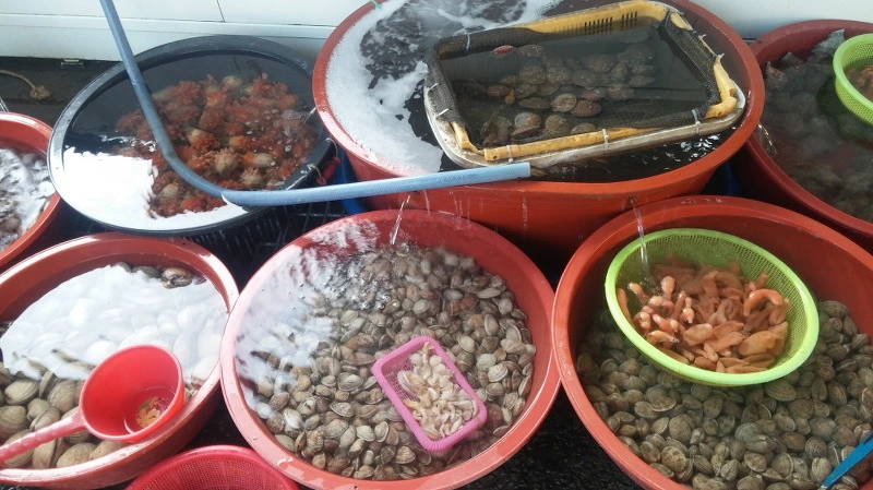 245A883C58B3719E247DCF