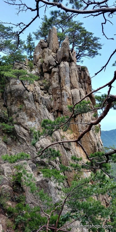 244B7B3D595CE85820C9F2