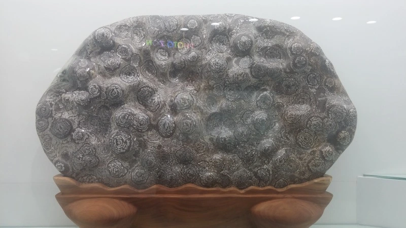 244F073E57B91741262DA6