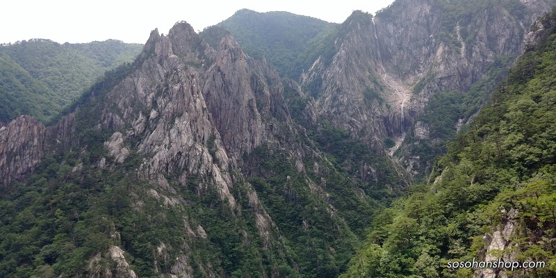 22297A44595CE75B29F580