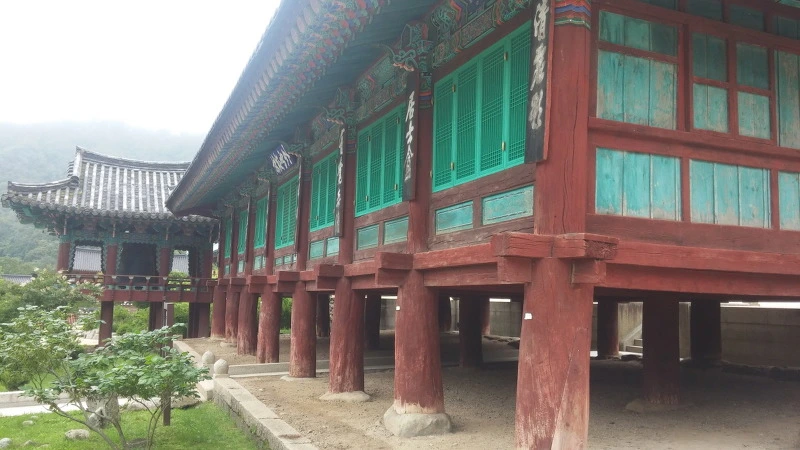 24479B43577F8D8D28127B