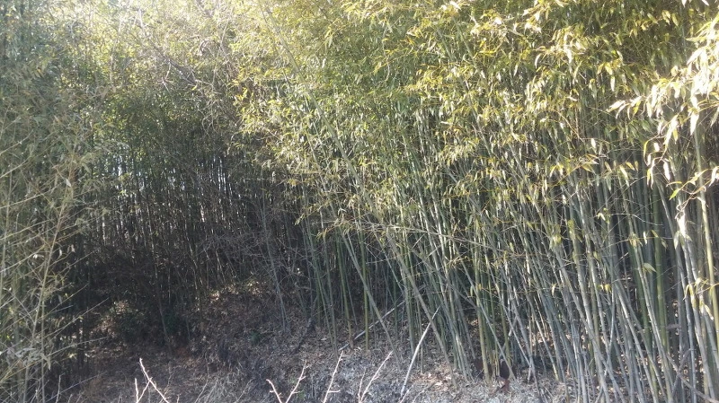 222BC43558B371892AEDB4