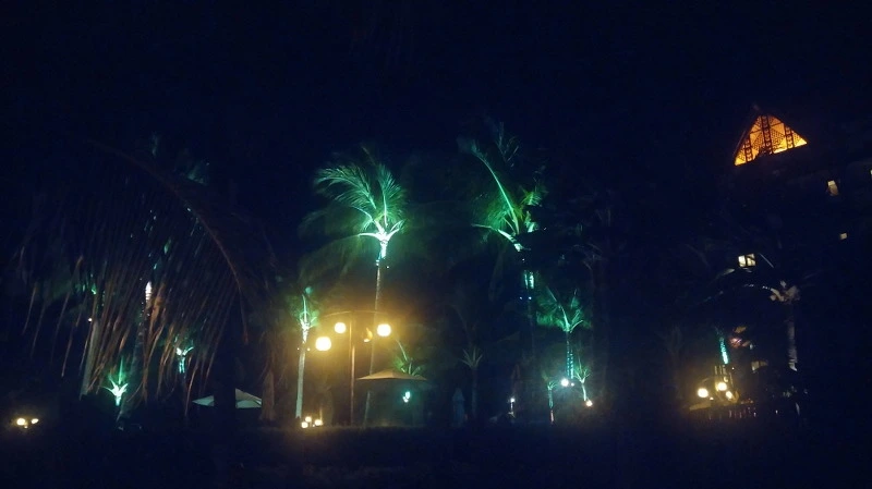 2332CF4158B54C9335D6E7