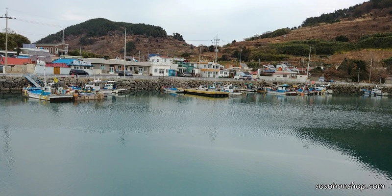 99E4714E5A35FB9E23C7F3