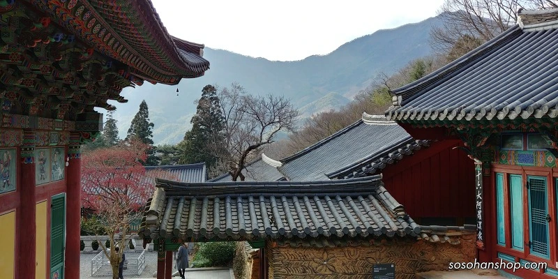 9928714A5A3612E8136DBB