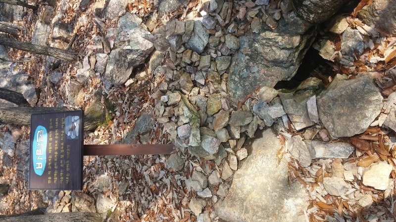 2305D0485821C7D42BDEA3