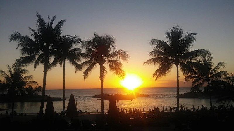 2214D34658B54C77298EC1