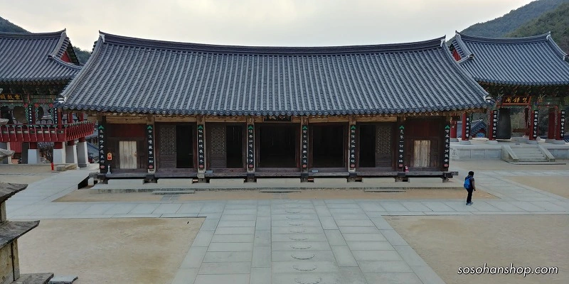 9930DA4D5A36146819B83D