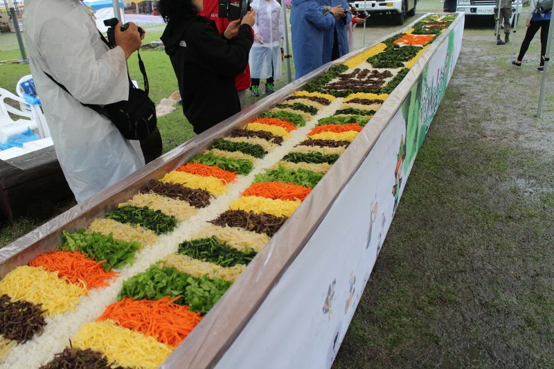 24752E43572C3C04278812