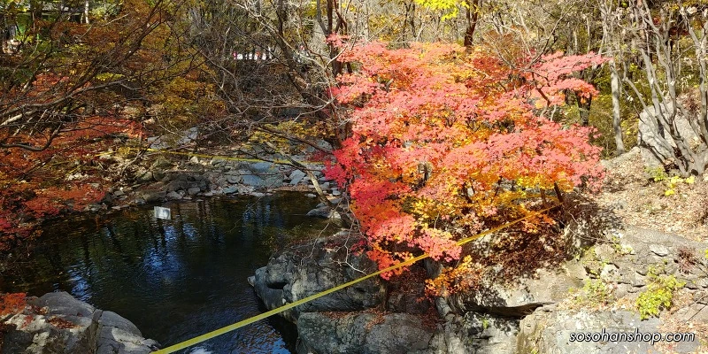 99B8A43359EDDE81295295