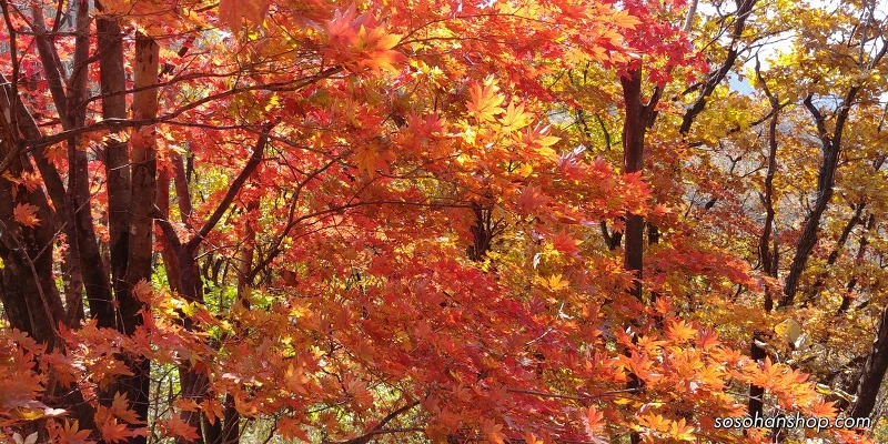 991AD23359EDDE5822A72F