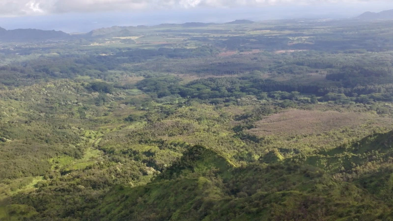 2218584458B52CD80E1324