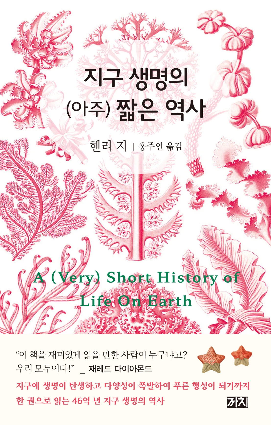 8972917761_fl.jpg?RS=1107&amp;