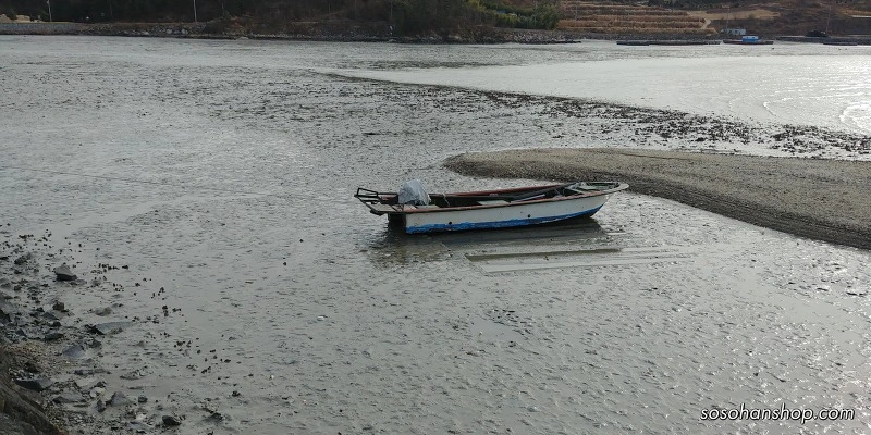 99FAED455A3611960C71CF