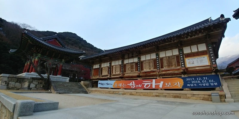 9947F9505A36142E0B0BFF