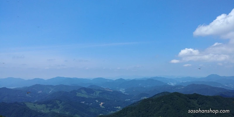 226B173359783A9410C05F