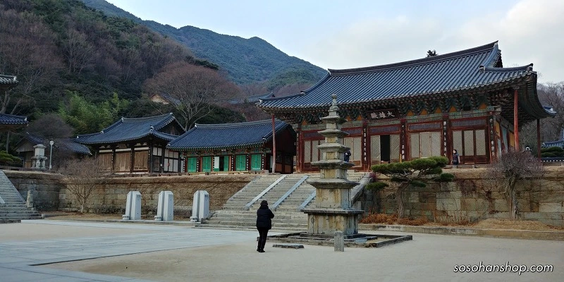 9989684E5A36145D12C91F