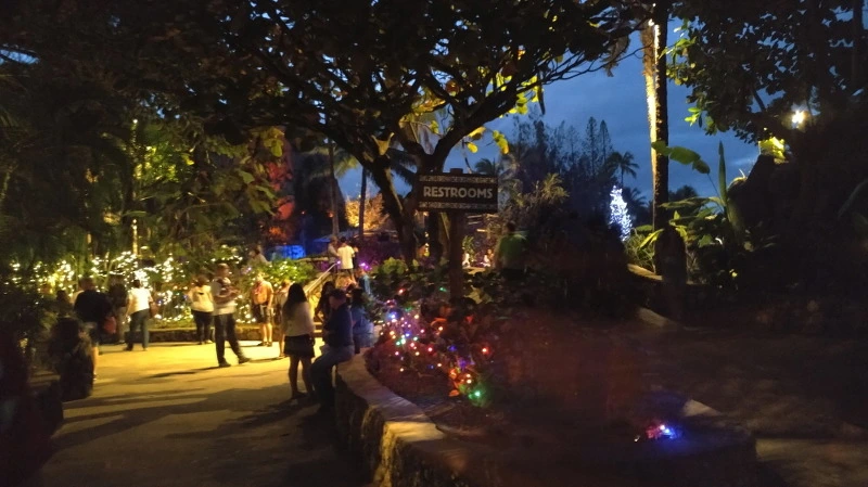 250BE54658A925B70E845B