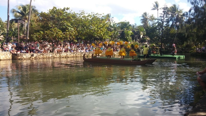 214F173F58A924770378DE