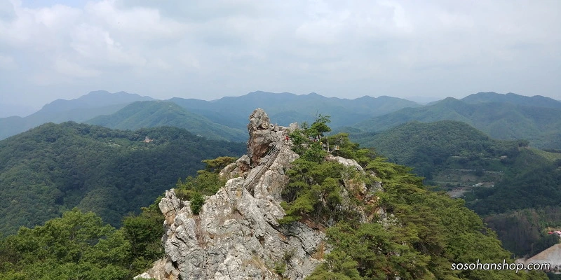 2439893959536A2E011D36