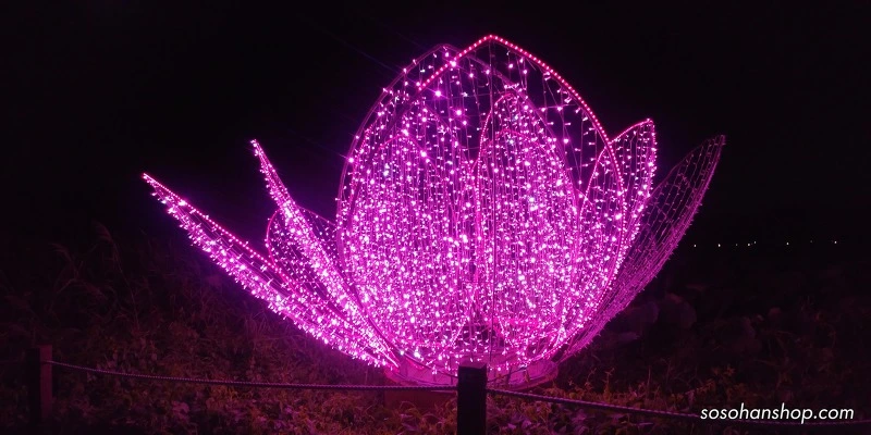 994FA53359AAB1A93012C7