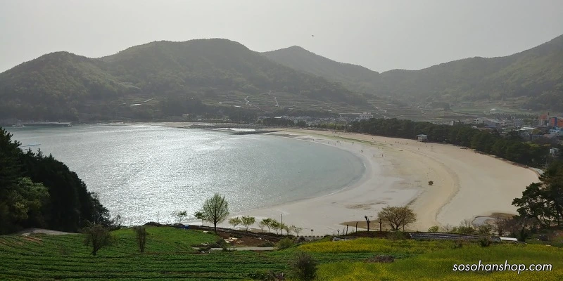 997E65405AD3F1D430060C