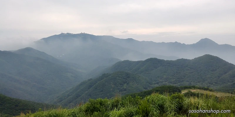 99596F33598BA36B1459CF